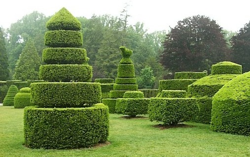 Are we modern day topiaries?