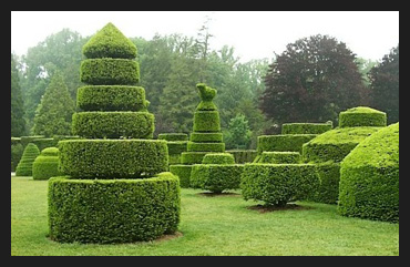 Are you a topiary?